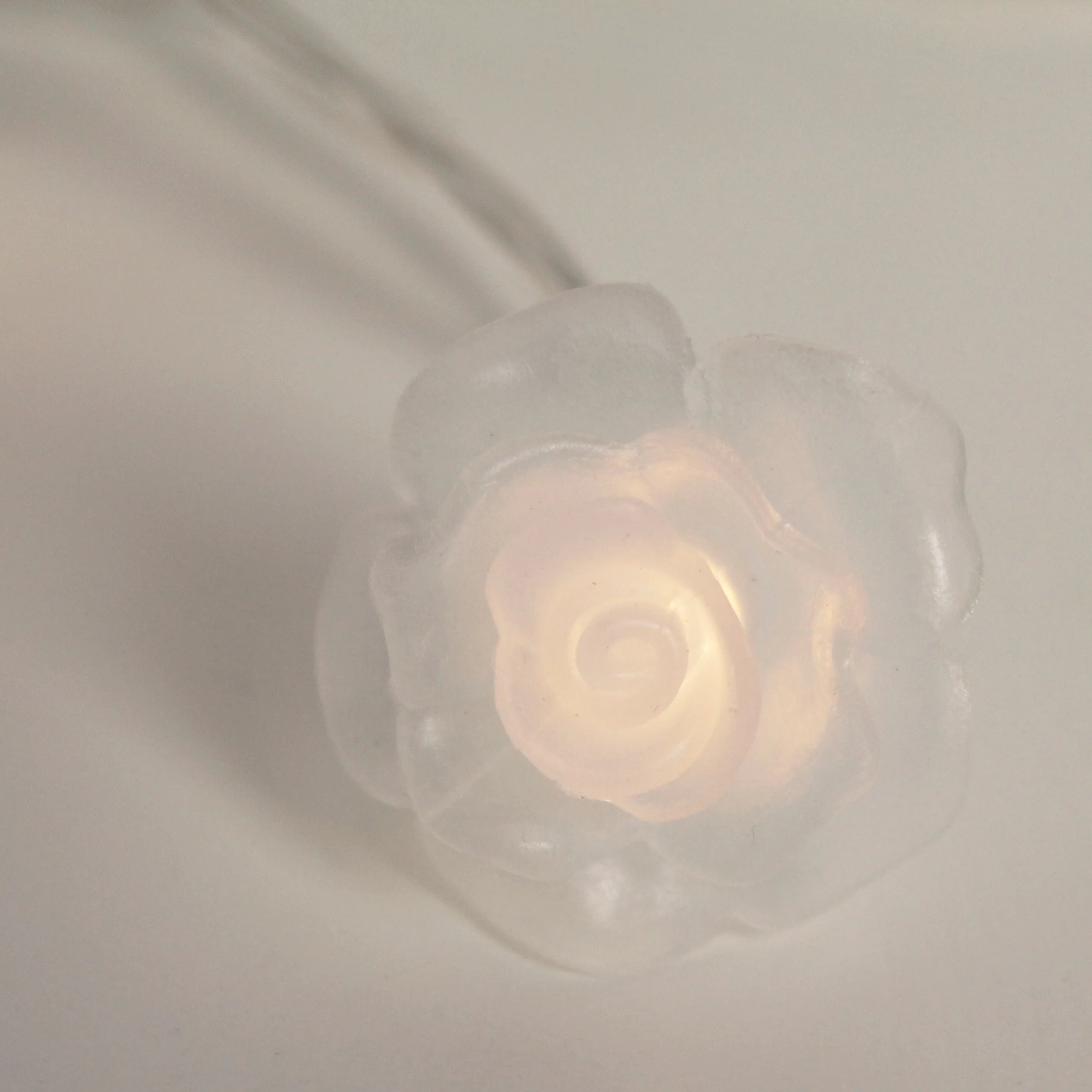 20 LED Lights Battery Operated with PVC Clear Rose - Warm White