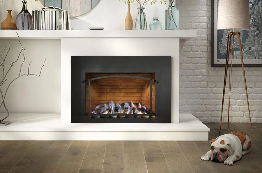 Ambiance Fireplaces Inspiration 29 Gas Insert (Contemporary Burner - No Media)