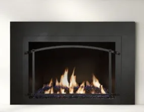 Ambiance Fireplaces Inspiration 29 Gas Insert (Contemporary Burner - No Media)