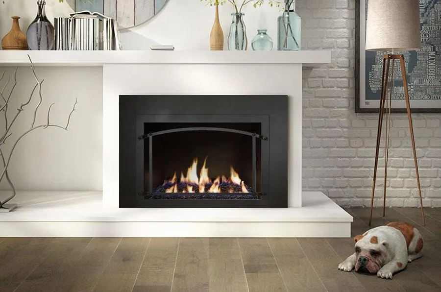 Ambiance Fireplaces Inspiration 29 Gas Insert (Contemporary Burner - No Media)