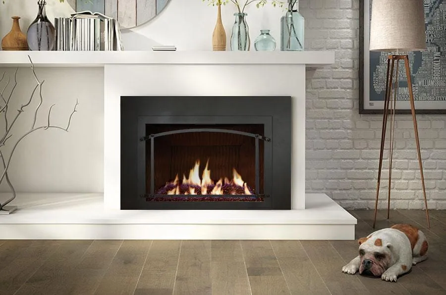 Ambiance Fireplaces Inspiration 29 Gas Insert (Contemporary Burner - No Media)