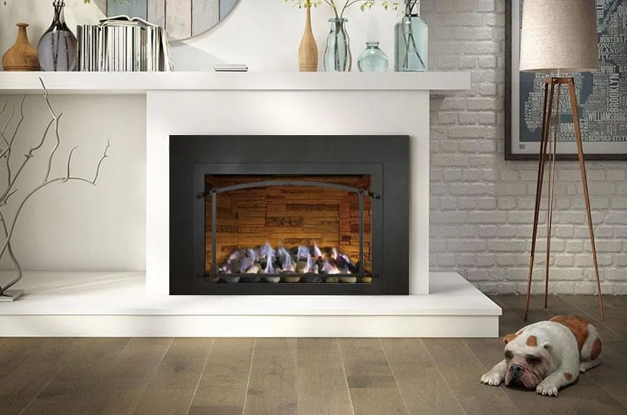 Ambiance Fireplaces Inspiration 29 Gas Insert (Contemporary Burner - No Media)