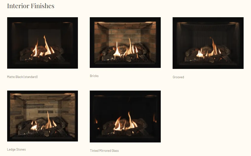 Ambiance Fireplaces Inspiration 29 Gas Insert (Contemporary Burner - No Media)