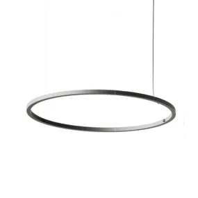 Axo USULA160 U-Light 63" LED Pendant, Recessed Canopy