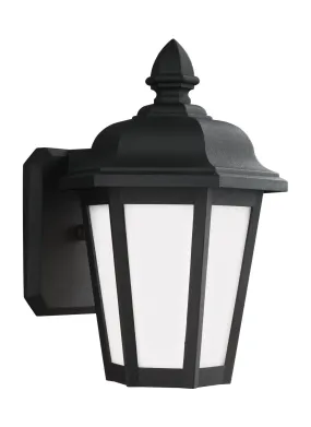 Brentwood Small 1-Light Outdoor Wall Lantern