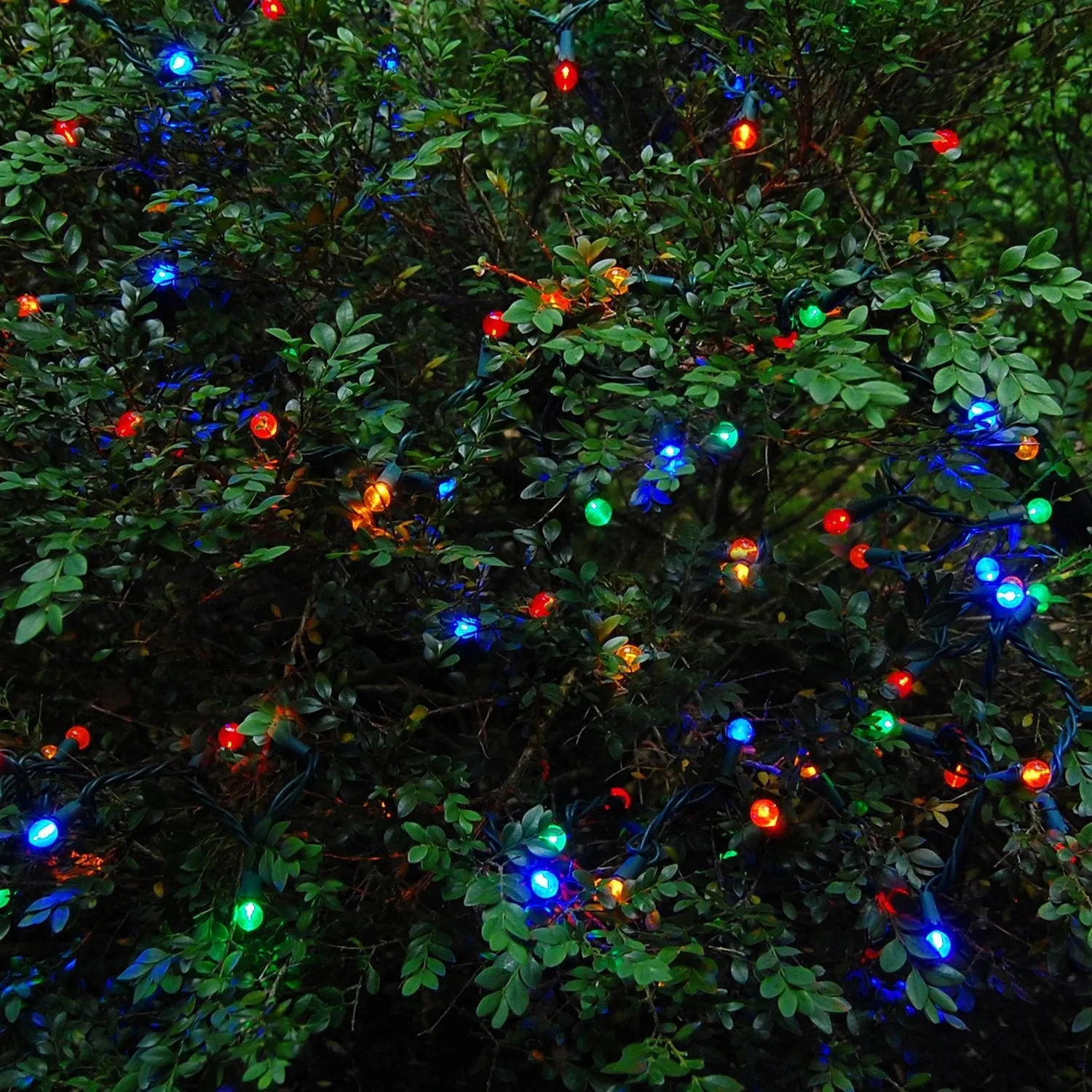 Electric String Lights with Globes