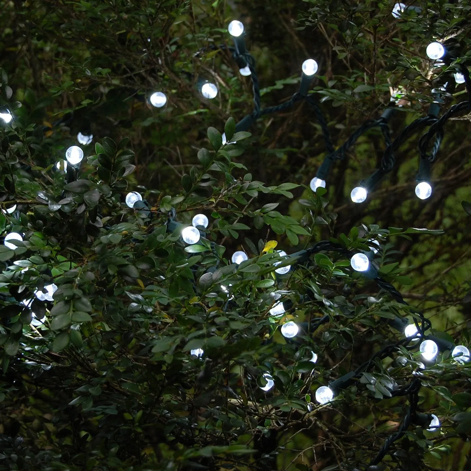 Electric String Lights with Globes