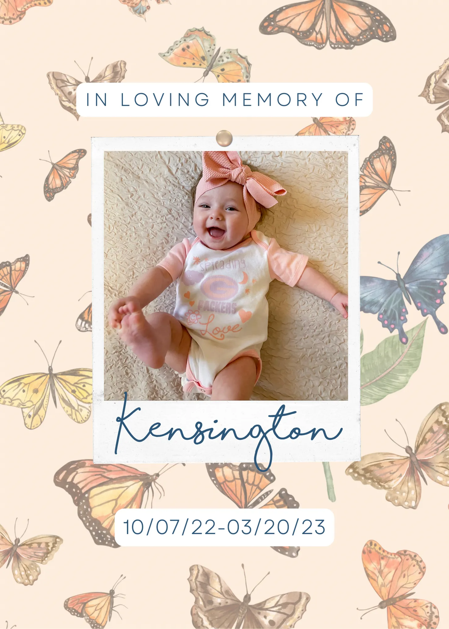 Kensington's Butterflies Bamboo Crib Sheet