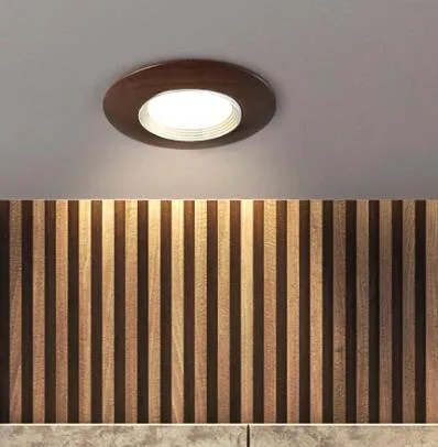 LED Recessed Modern Walnut Wood DownlightSpotlight