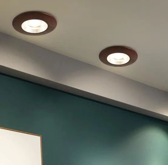 LED Recessed Modern Walnut Wood DownlightSpotlight