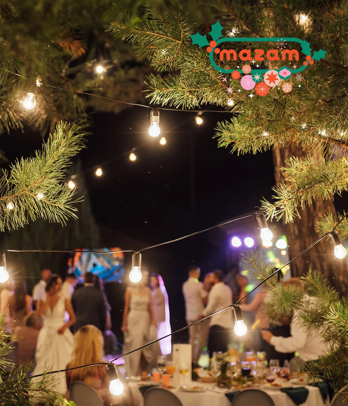 Mazam 100M LED Festoon String Lights Christmas Wedding Party Outdoor Waterproof