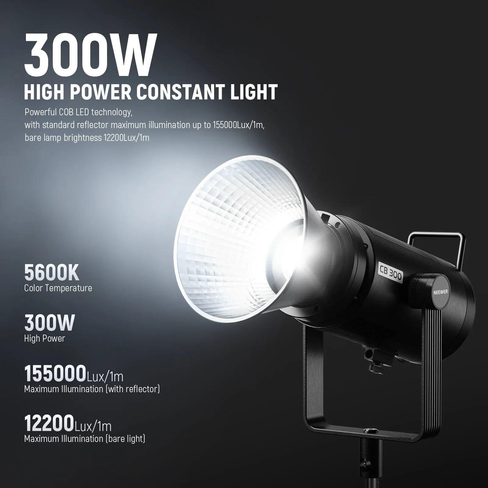 NEEWER CB300 300W LED Video Light