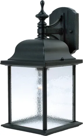 Senator 1-Light Outdoor Wall Lantern in Black with Seedy Glass